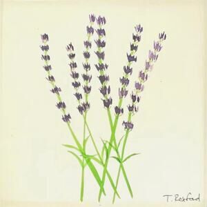 Hand painted watercolor original painting lavender flowers